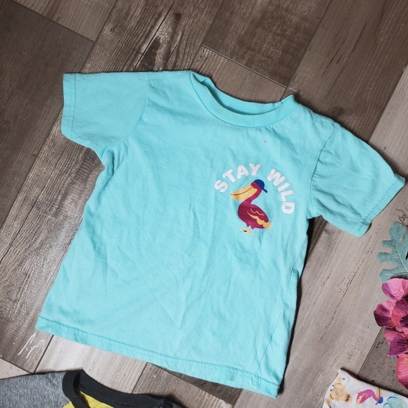 Alex & Jack and Garanimals Size 4T Boys Short Sleeve Casual T-Shirt Bundle GUC - Picture 15 of 15